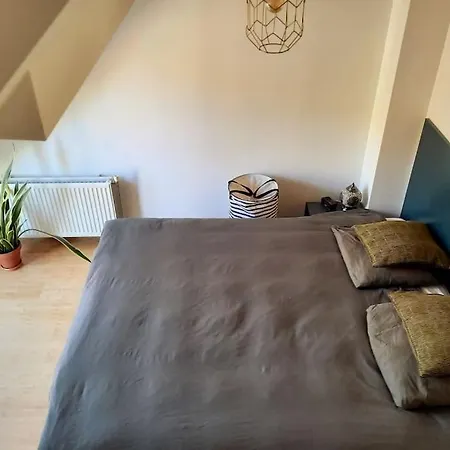 Family House On Historic Dike - Big Garden, Free P Appartamento *