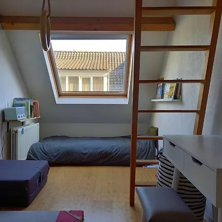 Family House On Historic Dike - Big Garden, Free P *